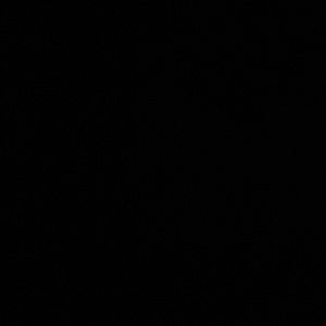 Meet your Posher, Maddie